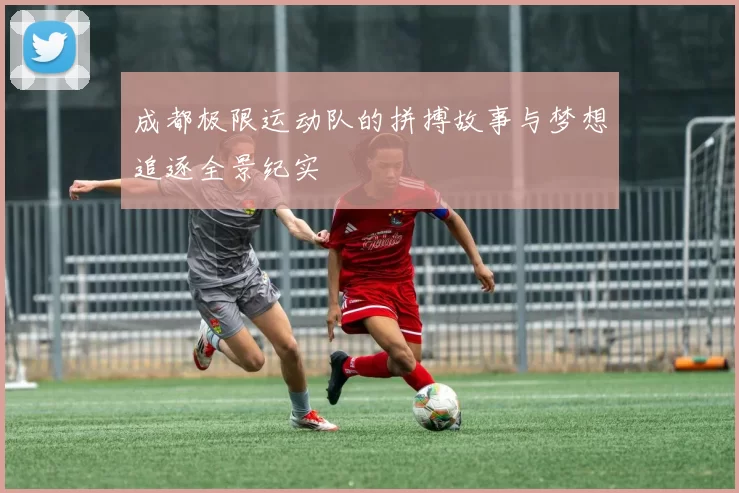 成都极限运动队的拼搏故事与梦想追逐全景纪实