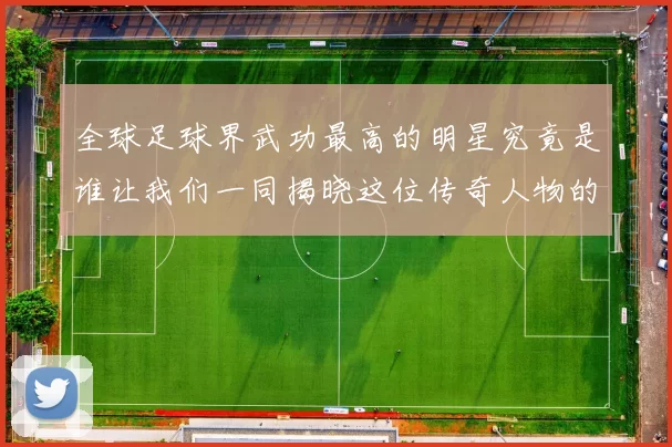 全球足球界武功最高的明星究竟是谁让我们一同揭晓这位传奇人物的辉煌成就