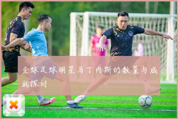 全球足球明星马丁内斯的数量与成就探讨