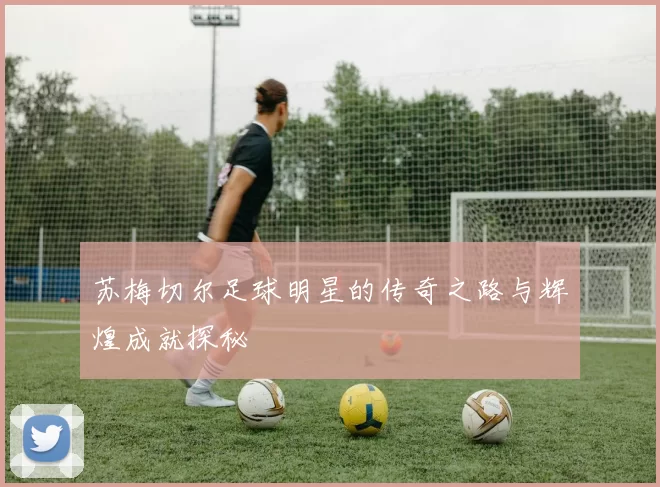 苏梅切尔足球明星的传奇之路与辉煌成就探秘