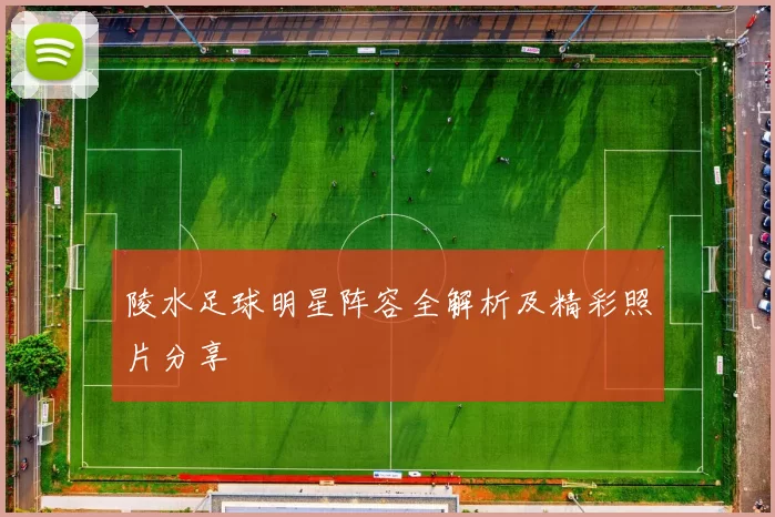 陵水足球明星阵容全解析及精彩照片分享
