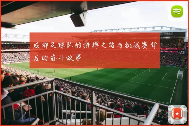 成都足球队的拼搏之路与挑战赛背后的奋斗故事
