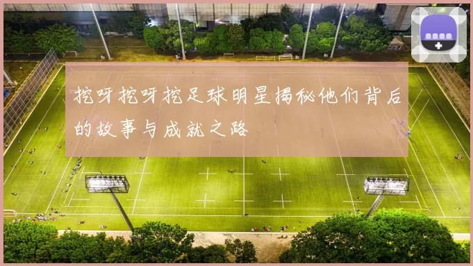 挖呀挖呀挖足球明星揭秘他们背后的故事与成就之路