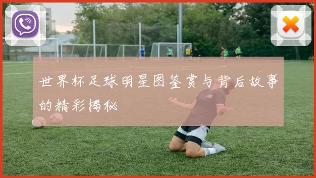 世界杯足球明星图鉴赏与背后故事的精彩揭秘