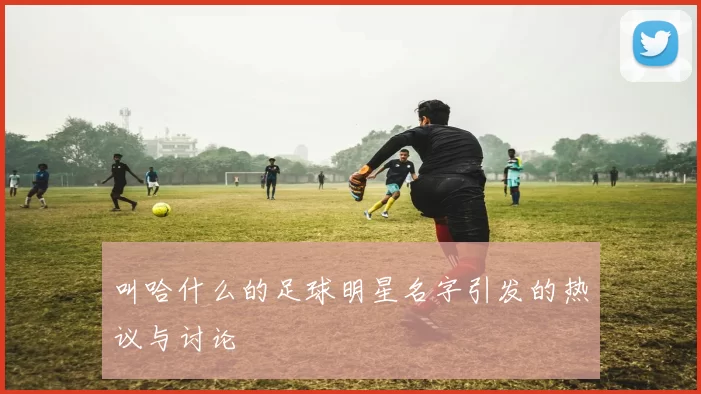 叫哈什么的足球明星名字引发的热议与讨论