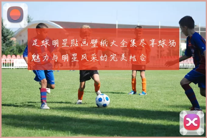 足球明星贴画壁纸大全集尽享球场魅力与明星风采的完美结合