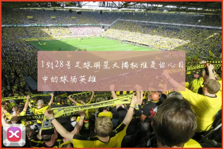 1到28号足球明星大揭秘谁是你心目中的球场英雄