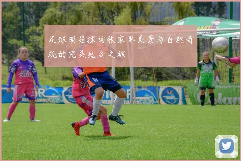 足球明星探访张家界美景与自然奇观的完美结合之旅