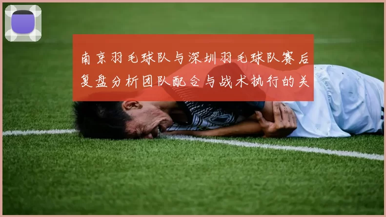 南京羽毛球队与深圳羽毛球队赛后复盘分析团队配合与战术执行的关键因素