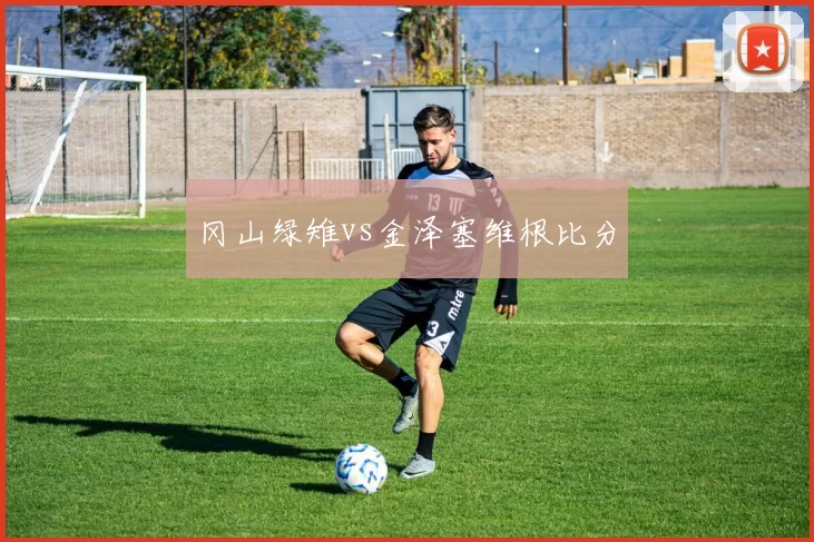 冈山绿雉vs金泽塞维根比分