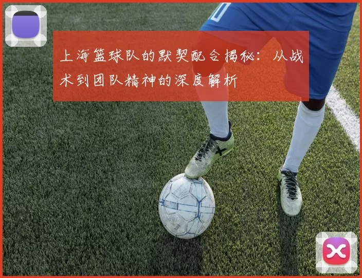 上海篮球队的默契配合揭秘：从战术到团队精神的深度解析
