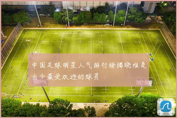 中国足球明星人气排行榜揭晓谁是当今最受欢迎的球员