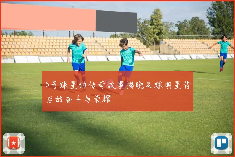 6号球星的传奇故事揭晓足球明星背后的奋斗与荣耀
