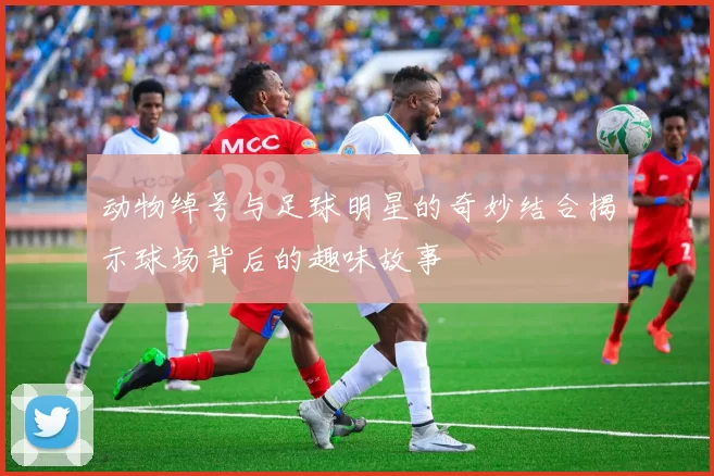 动物绰号与足球明星的奇妙结合揭示球场背后的趣味故事