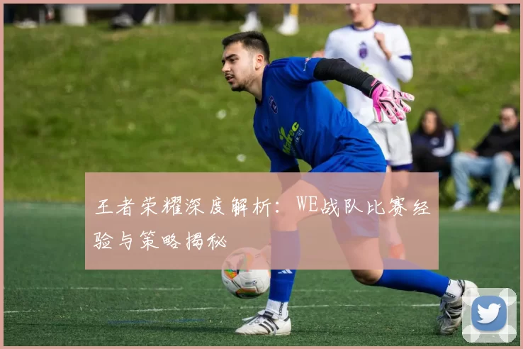王者荣耀深度解析：WE战队比赛经验与策略揭秘